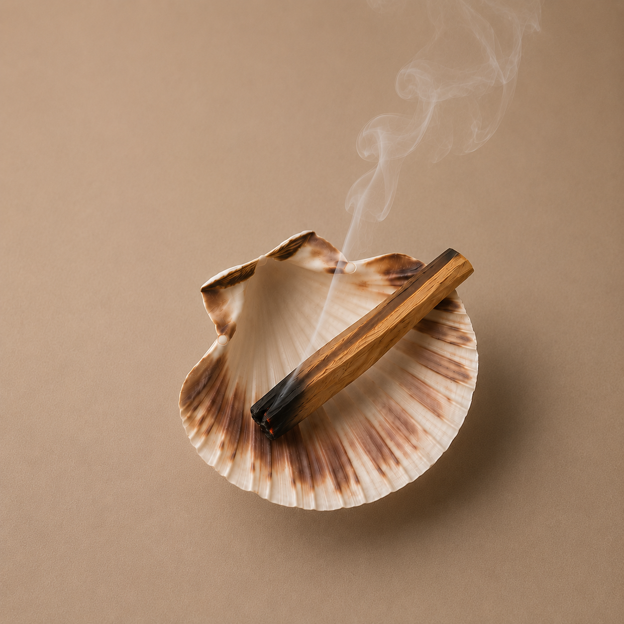 Peruvian Palo Santo Bundle with Shell Burner