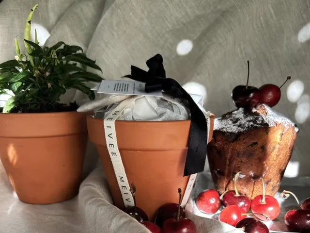 Decadent Christmas Cake in Terracotta Pot