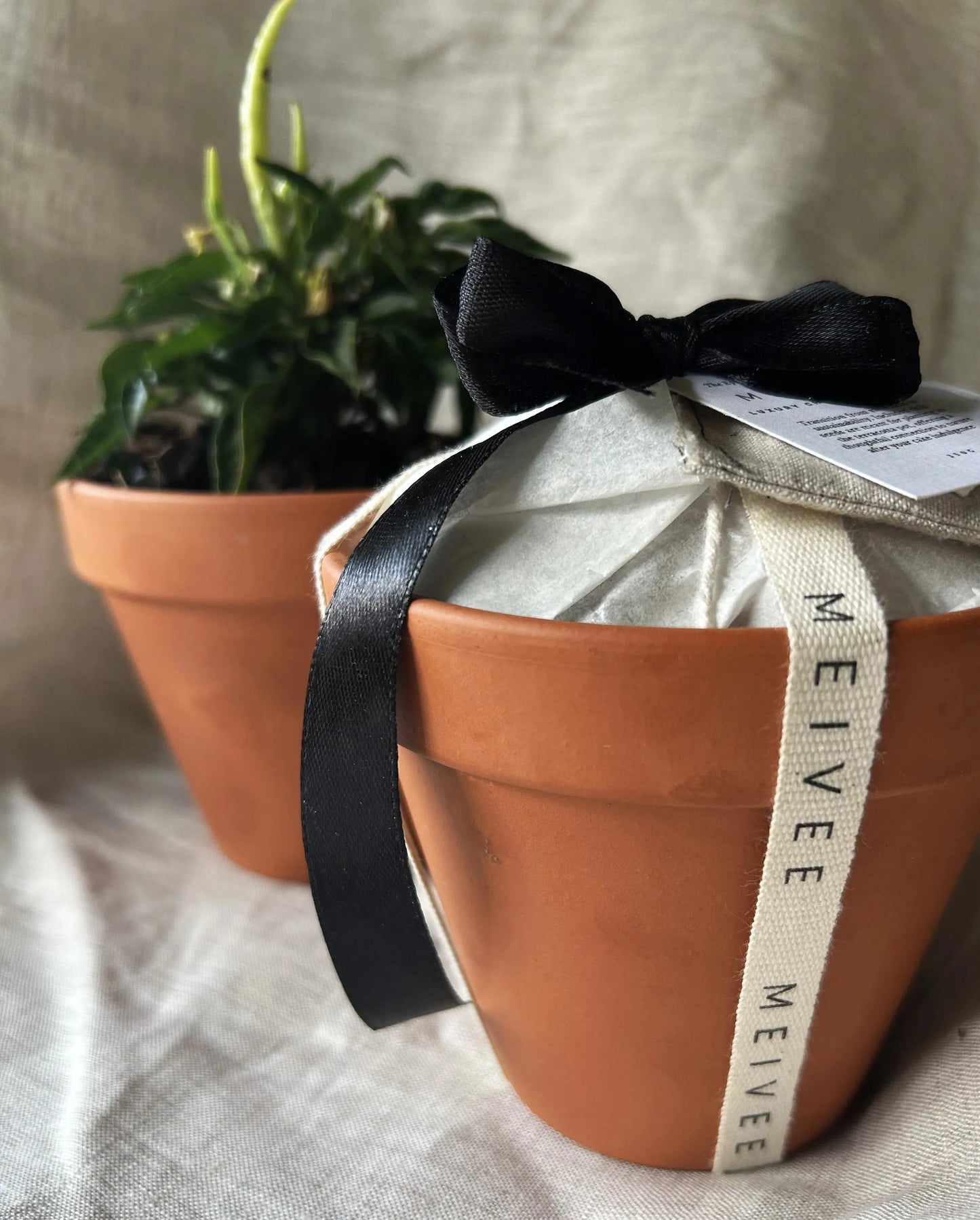 Decadent Christmas Cake in Terracotta Pot